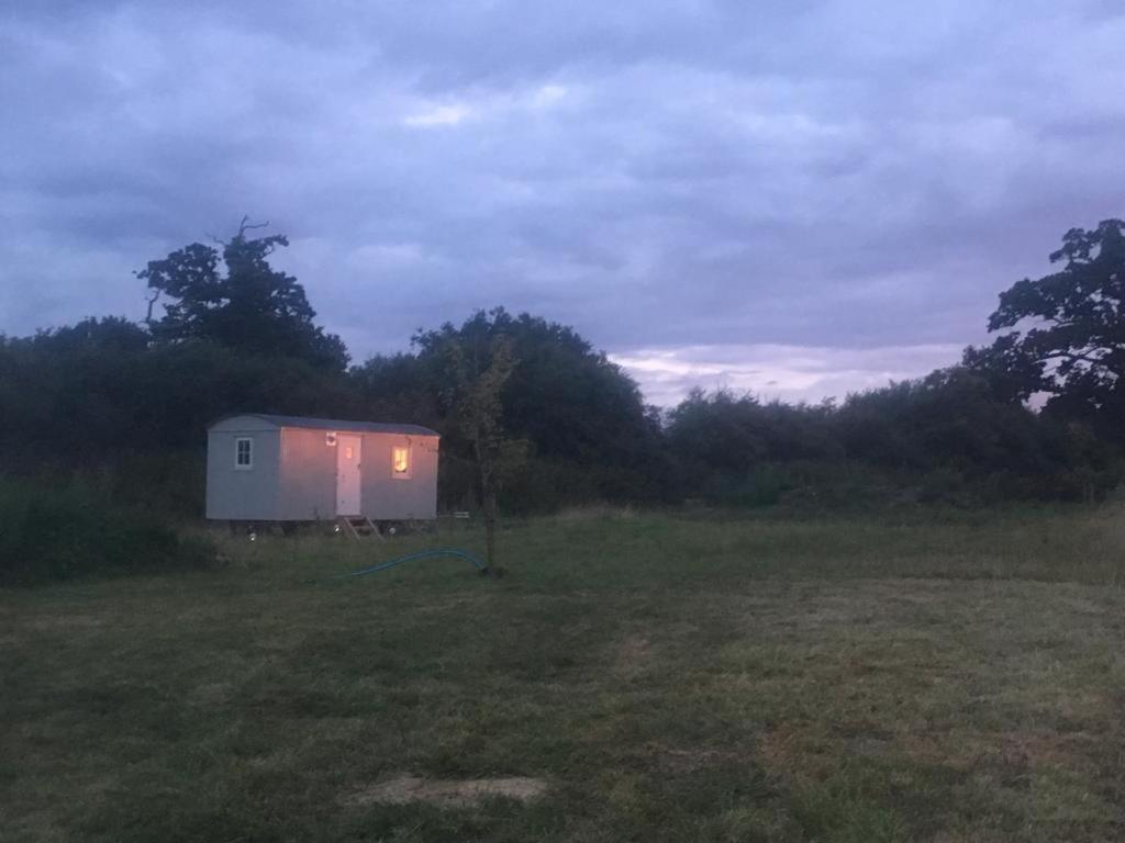 Romantic Secluded Shepherd Hut Hares Rest Southwick  Extérieur photo